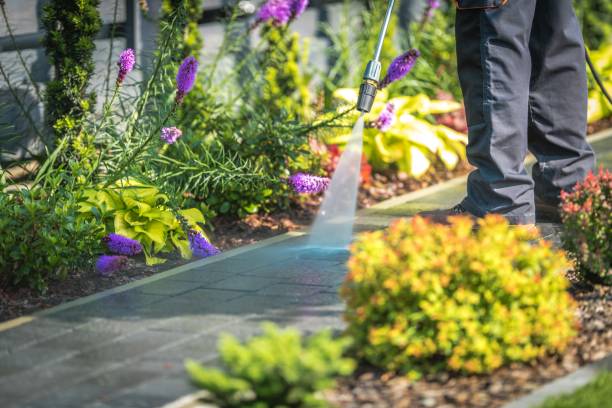 Best Sidewalk and Walkway Cleaning  in Cresskill, NJ